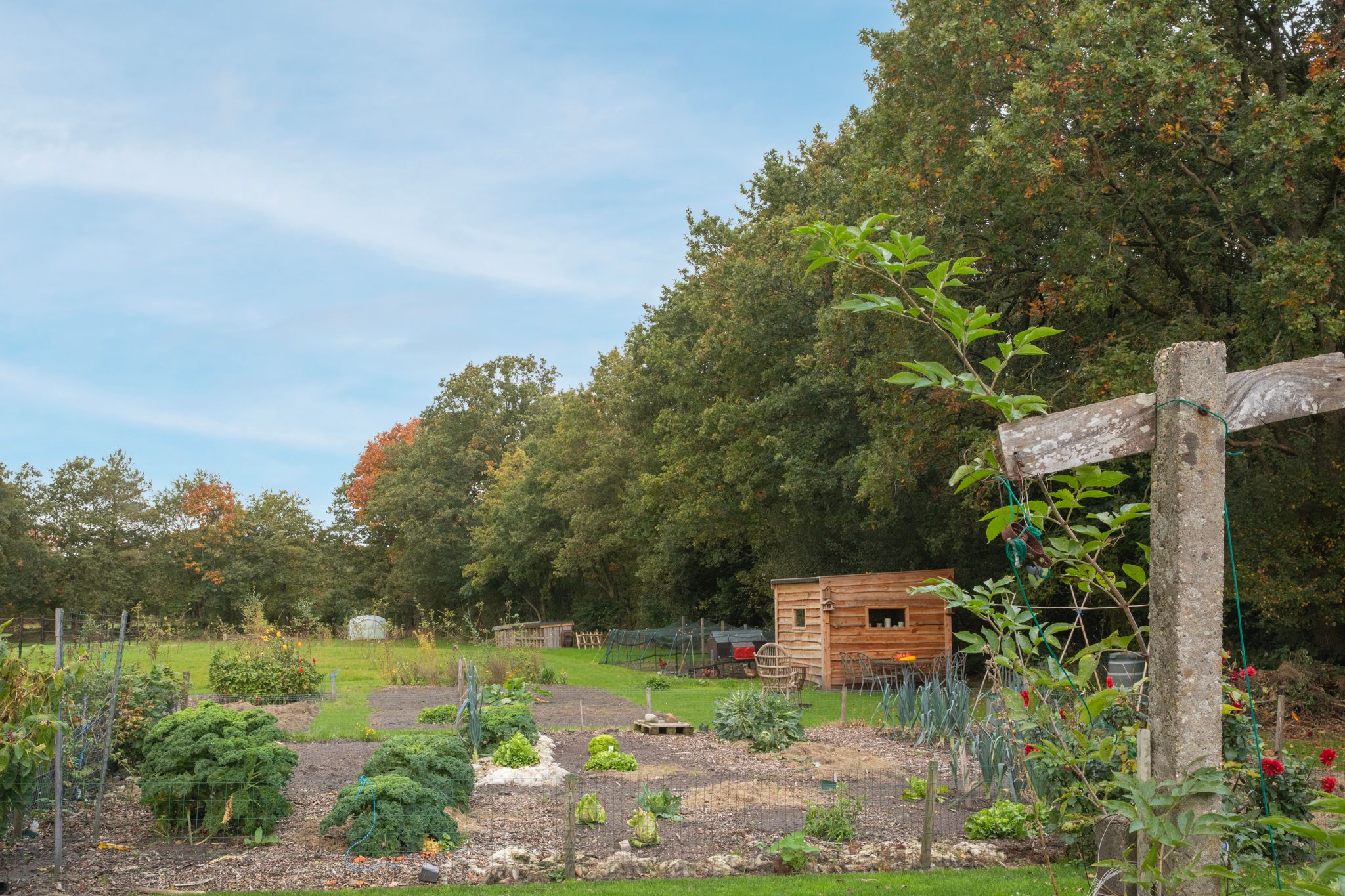 Foto 51 van Hoofdweg 3