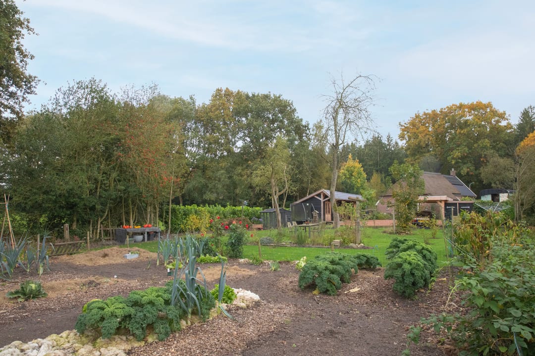 Foto 56 van Hoofdweg 3