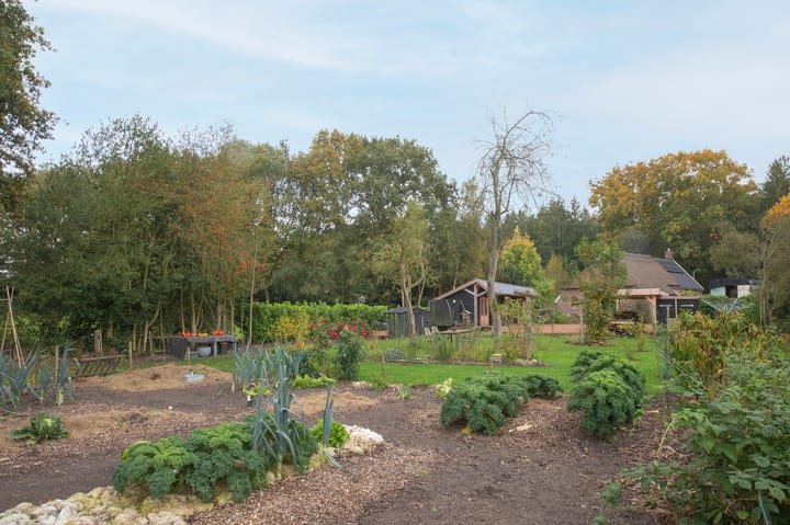 Foto 56 van Hoofdweg 3