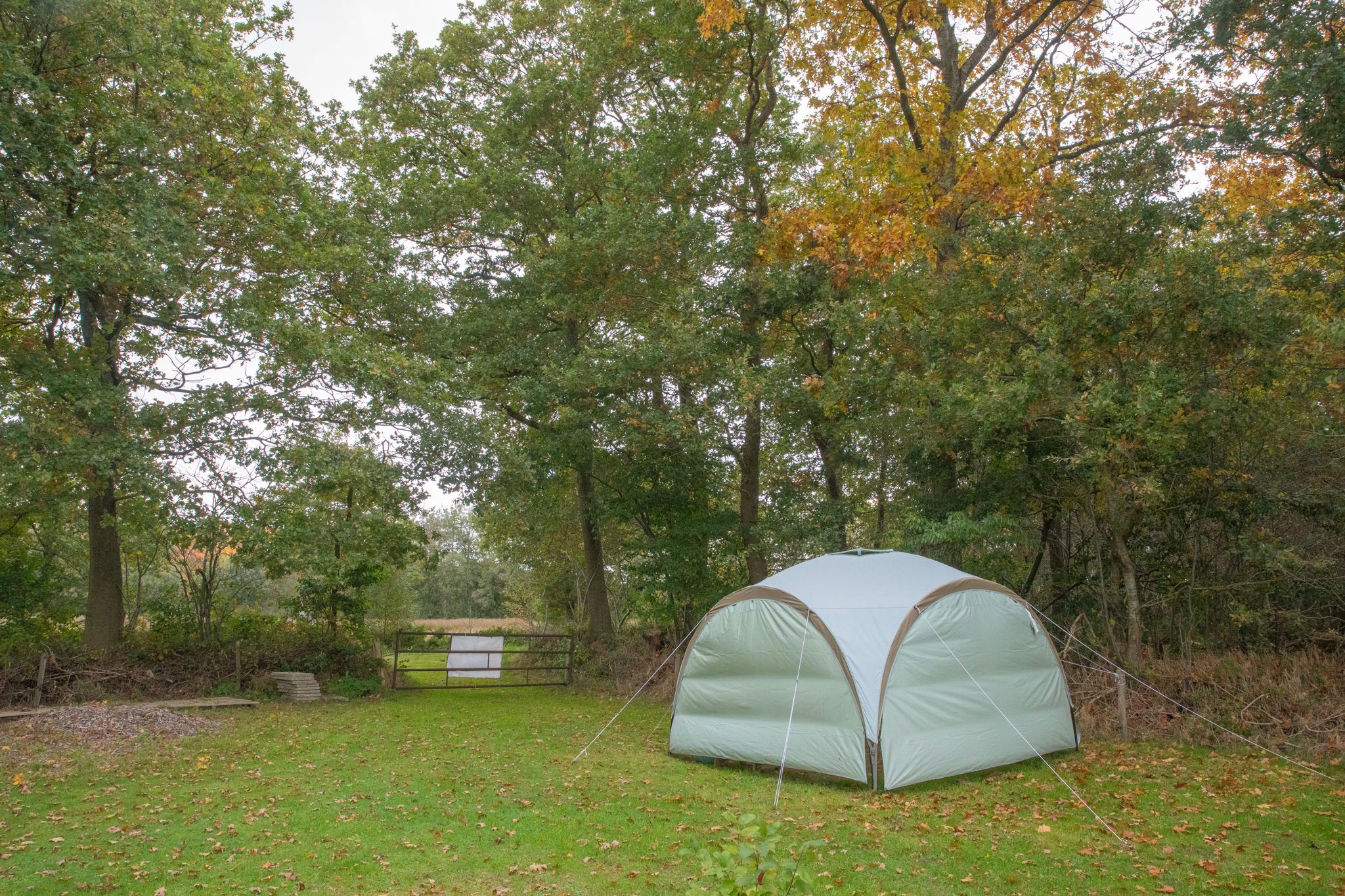 Foto 57 van Hoofdweg 3