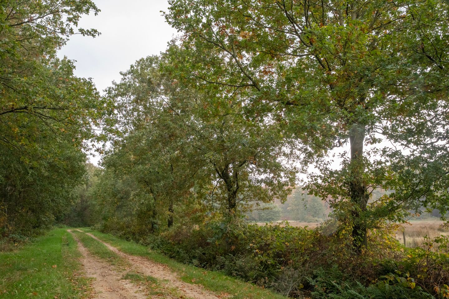 Foto 59 van Hoofdweg 3