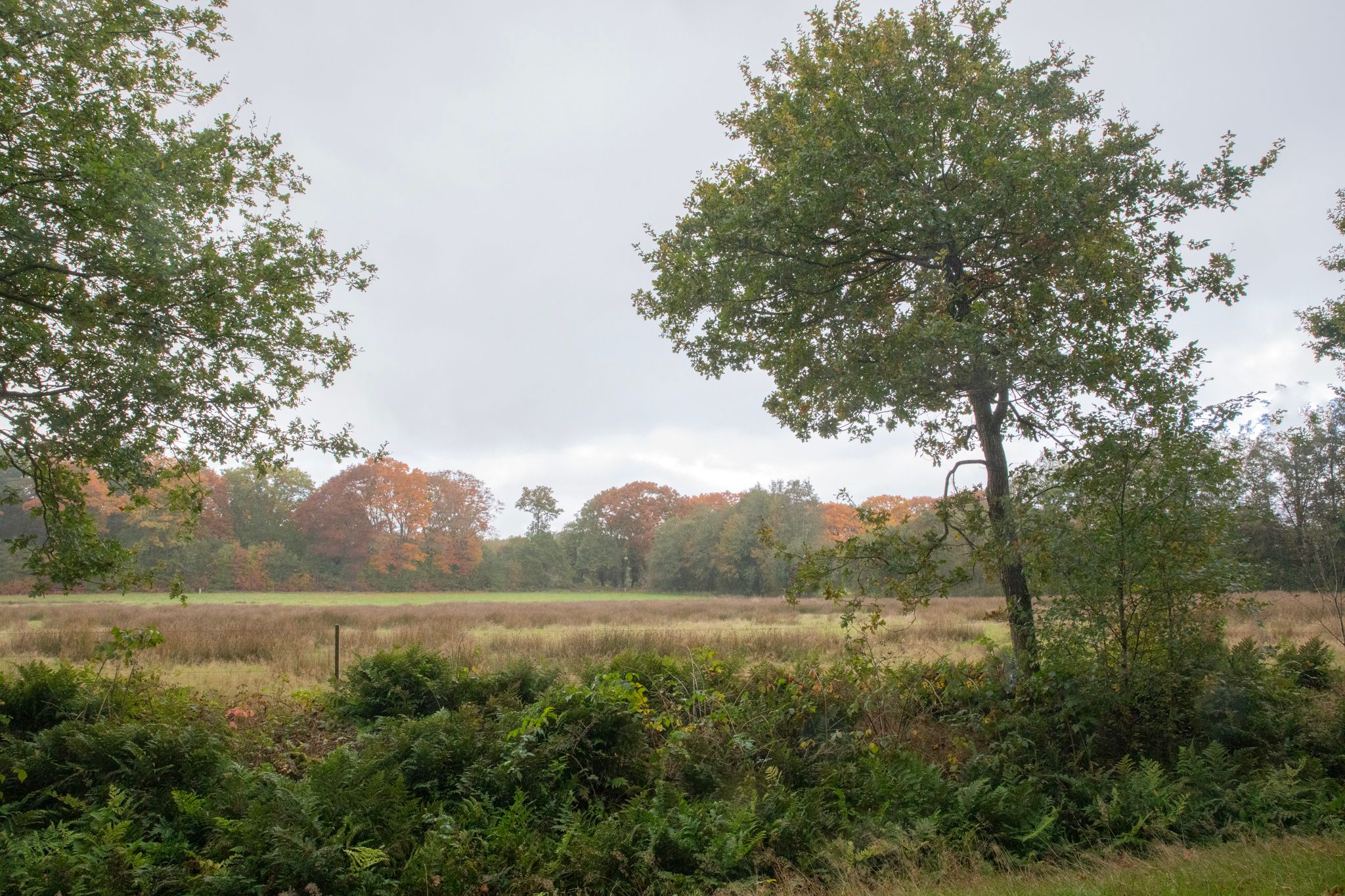 Foto 60 van Hoofdweg 3