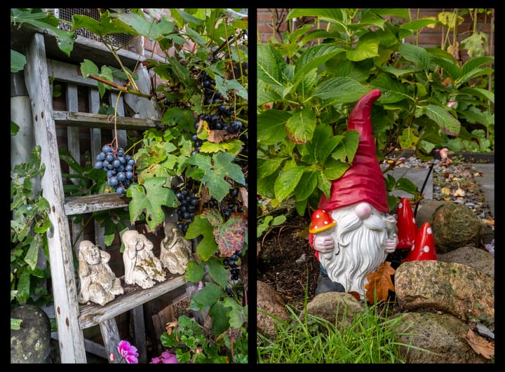 Foto 40 van Zuidenveld 8