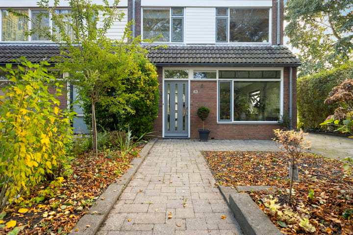 Photo 7 of Felixwei 43