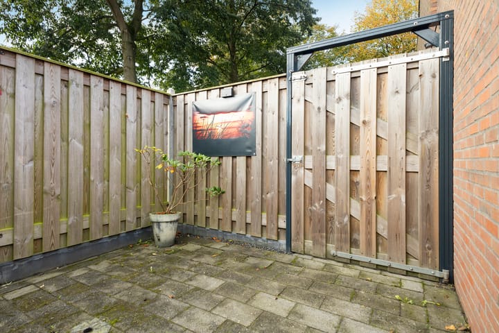 Photo 24 of Felixwei 43