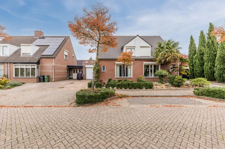 Foto 3 van Korenbloem 28