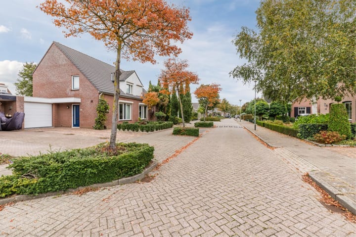 Foto 5 van Korenbloem 28