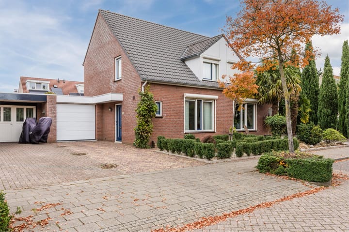 Foto 6 van Korenbloem 28