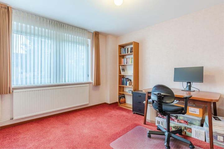 Foto 28 van Korenbloem 28