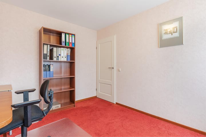 Foto 29 van Korenbloem 28