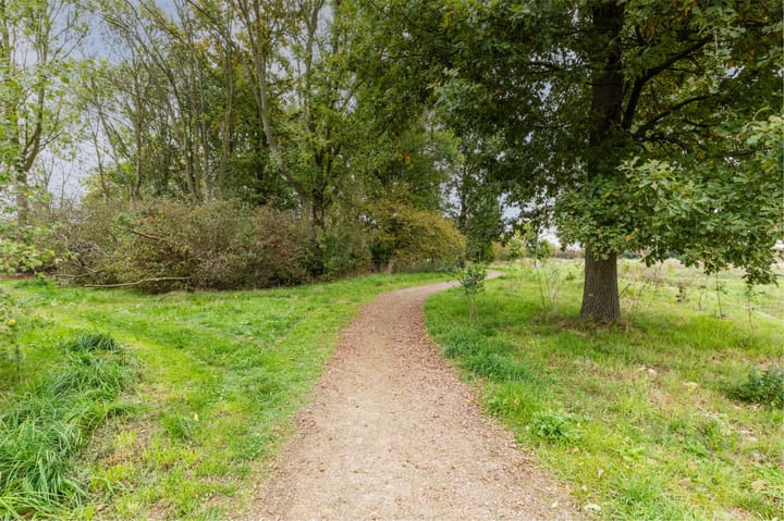 Foto 48 van Korenbloem 28