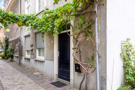 undefined main image