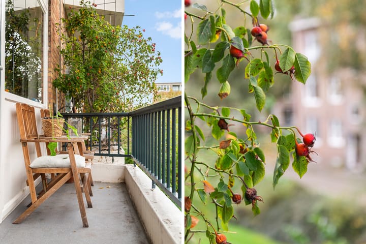 Foto 29 van Vredenoordlaan 62-B