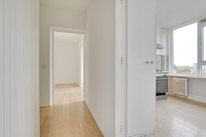 Foto 6 van Dommeringdreef 55