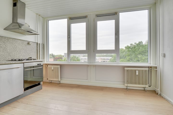 Foto 7 van Dommeringdreef 55