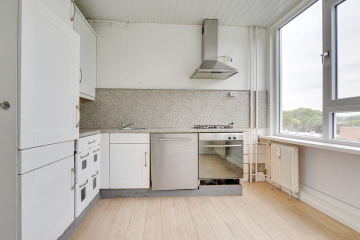 Foto 8 van Dommeringdreef 55