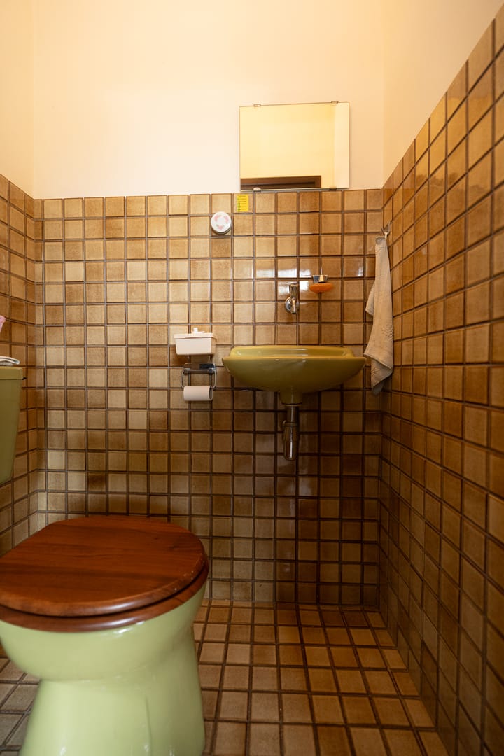 Foto 3 van Randwijksingel 10