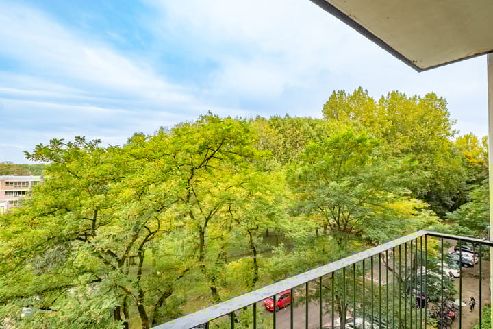 Foto 23 van Dommeringdreef 55