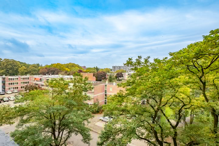 Foto 25 van Dommeringdreef 55