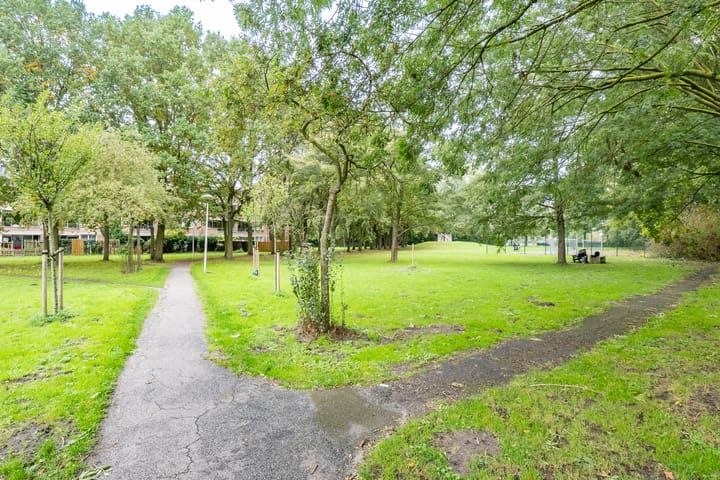 Foto 27 van Dommeringdreef 55