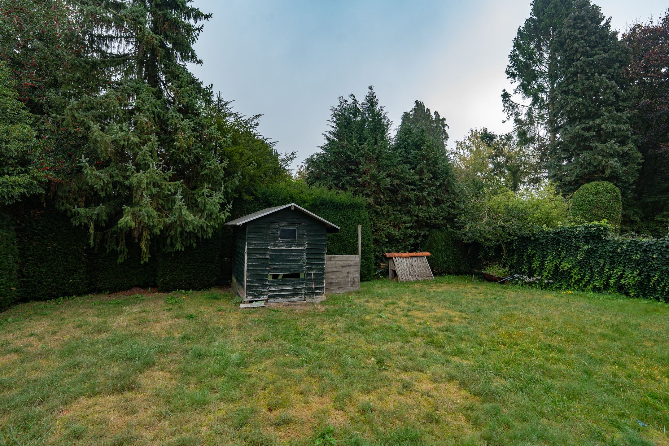 Foto 39 van Randwijksingel 10