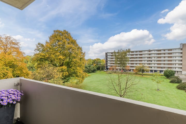 Foto 47 van Albert Cuypstraat 66