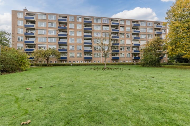 Foto 53 van Albert Cuypstraat 66