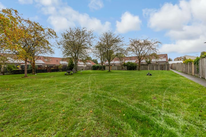 Foto 50 van Koolzaadweg 35