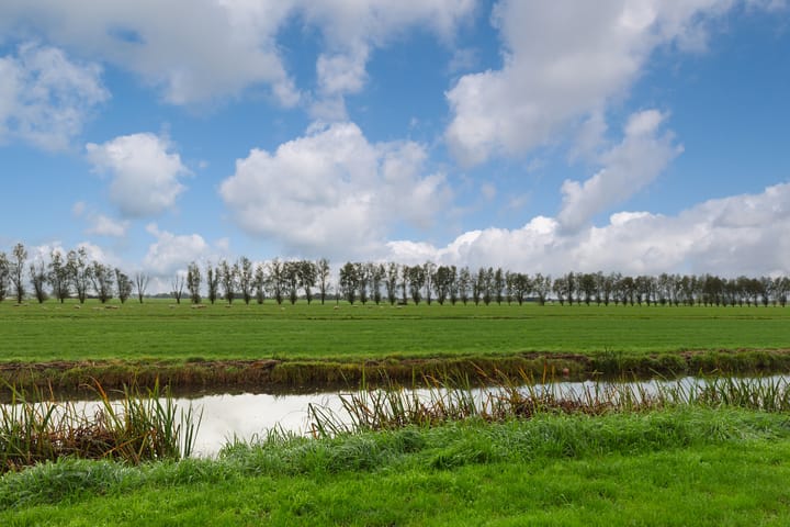 Foto 19 van Reigersweide 181