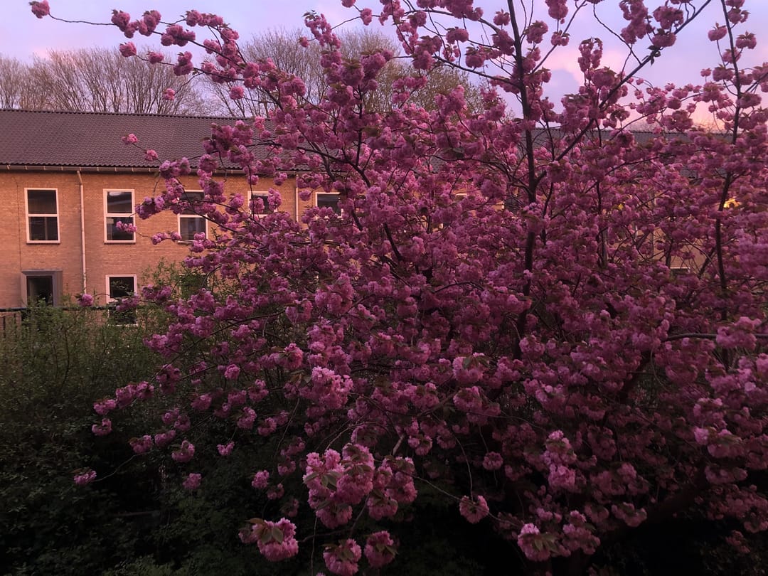 Foto 22 van Johannes van der Waalsstraat 32-1