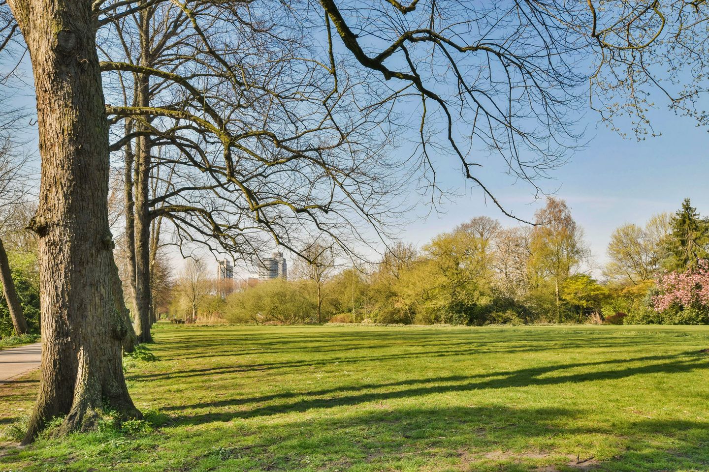 Foto 20 van Johannes van der Waalsstraat 32-1