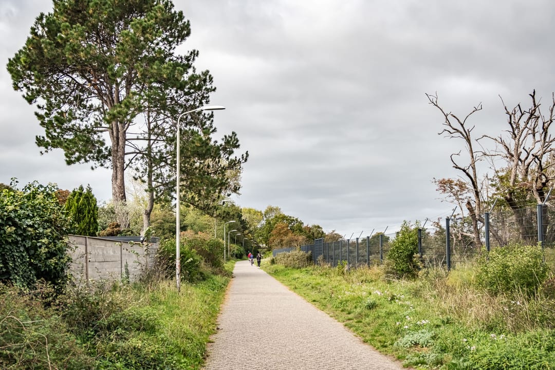 Foto 22 van Zandvoortselaan 299