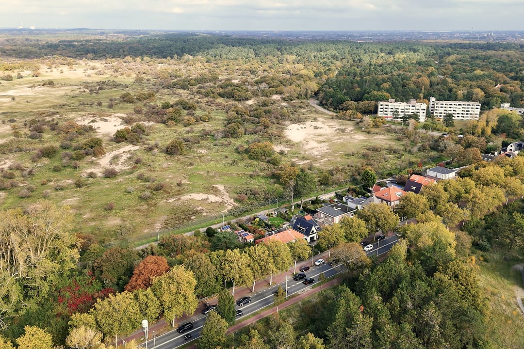 Foto 41 van Zandvoortselaan 299