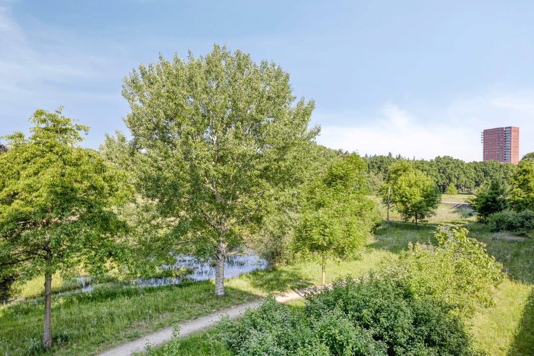 Foto 22 van Grasbaan 128