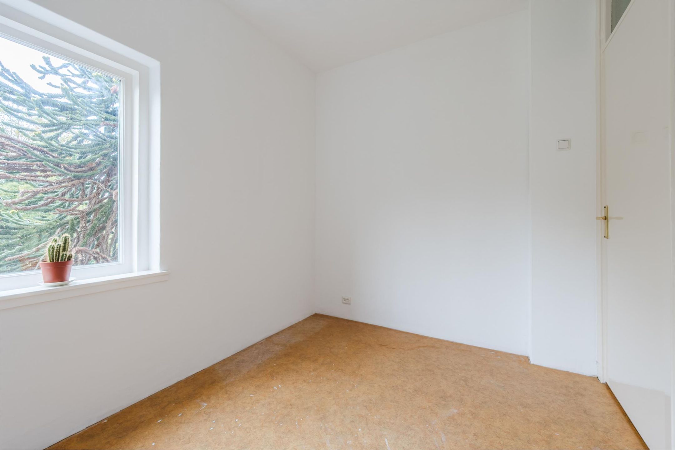 Foto 30 van Kamperfoeliestraat 69