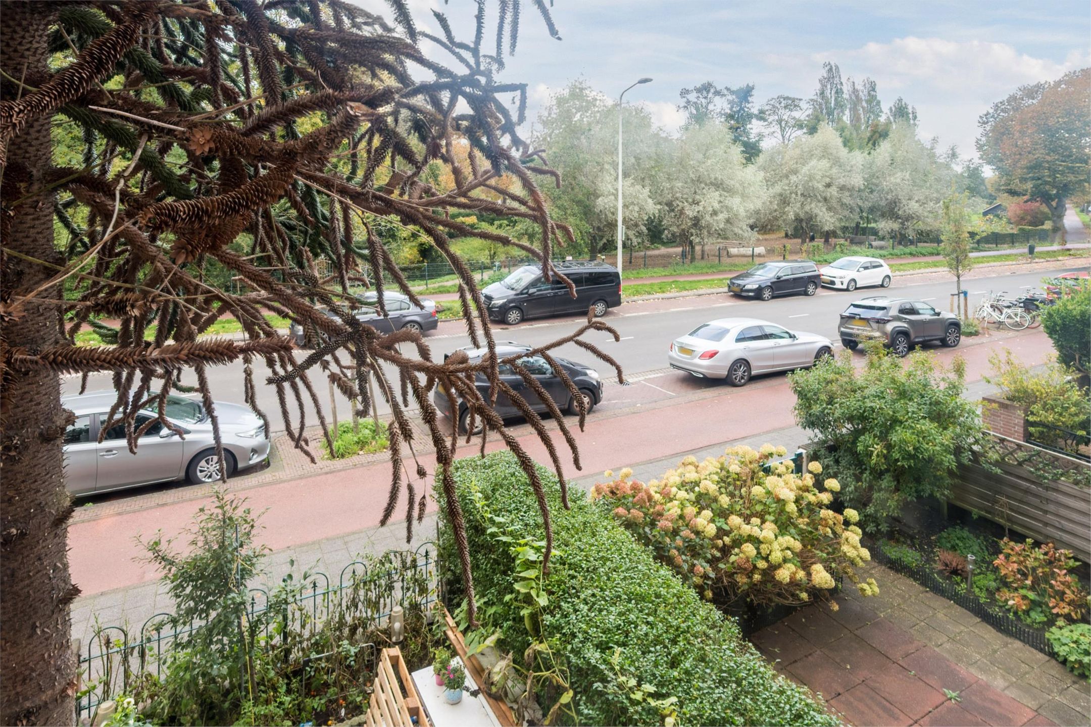 Foto 36 van Kamperfoeliestraat 69