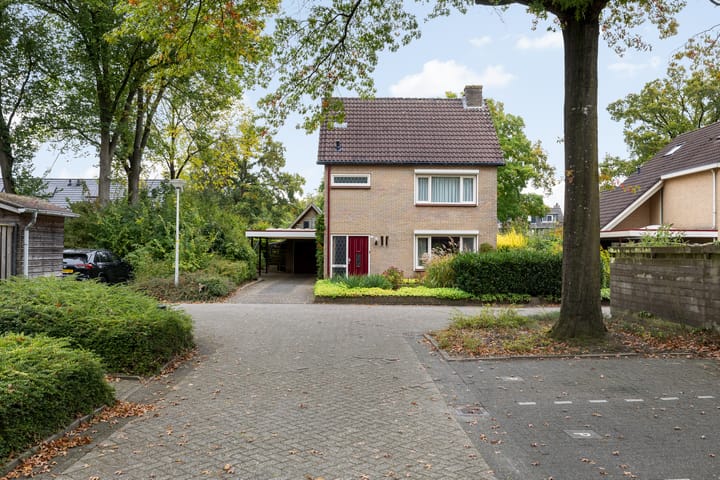 Foto 2 van Saffraan 9