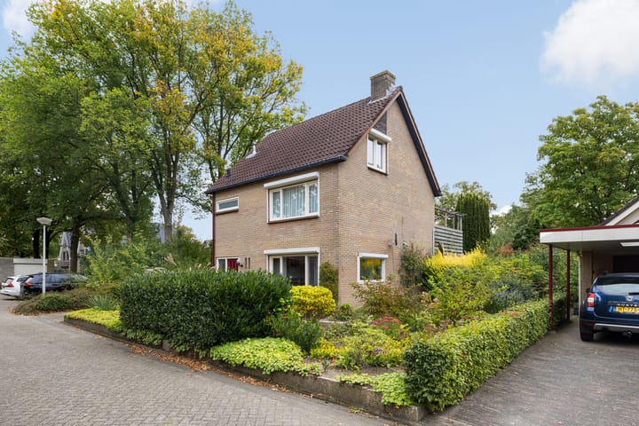 Foto 4 van Saffraan 9