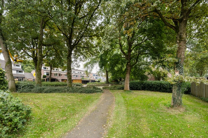 Foto 45 van Saffraan 9