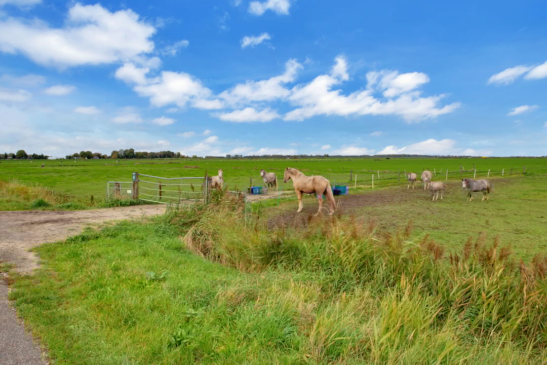 Foto 52 van Schokkerstraat 85