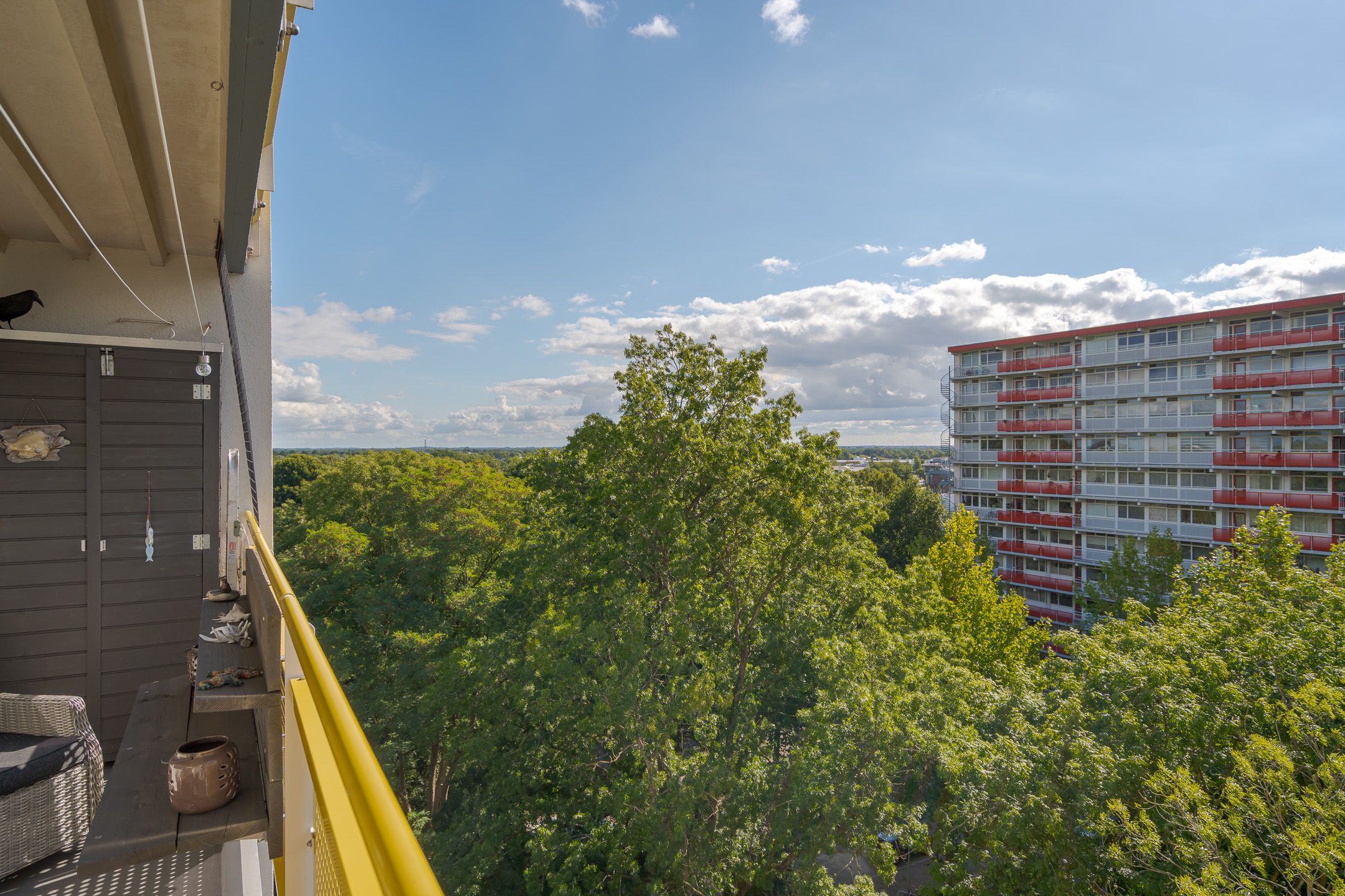 Foto 12 van Smetanalaan 308