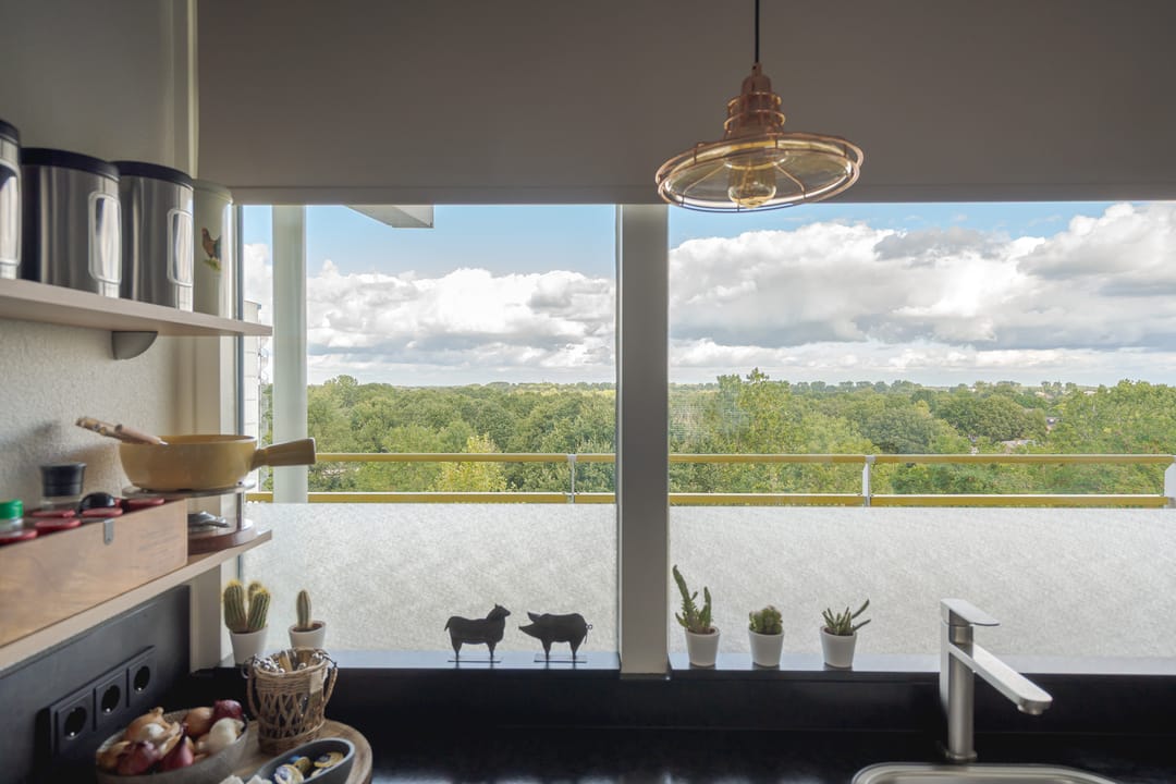 Foto 17 van Smetanalaan 308