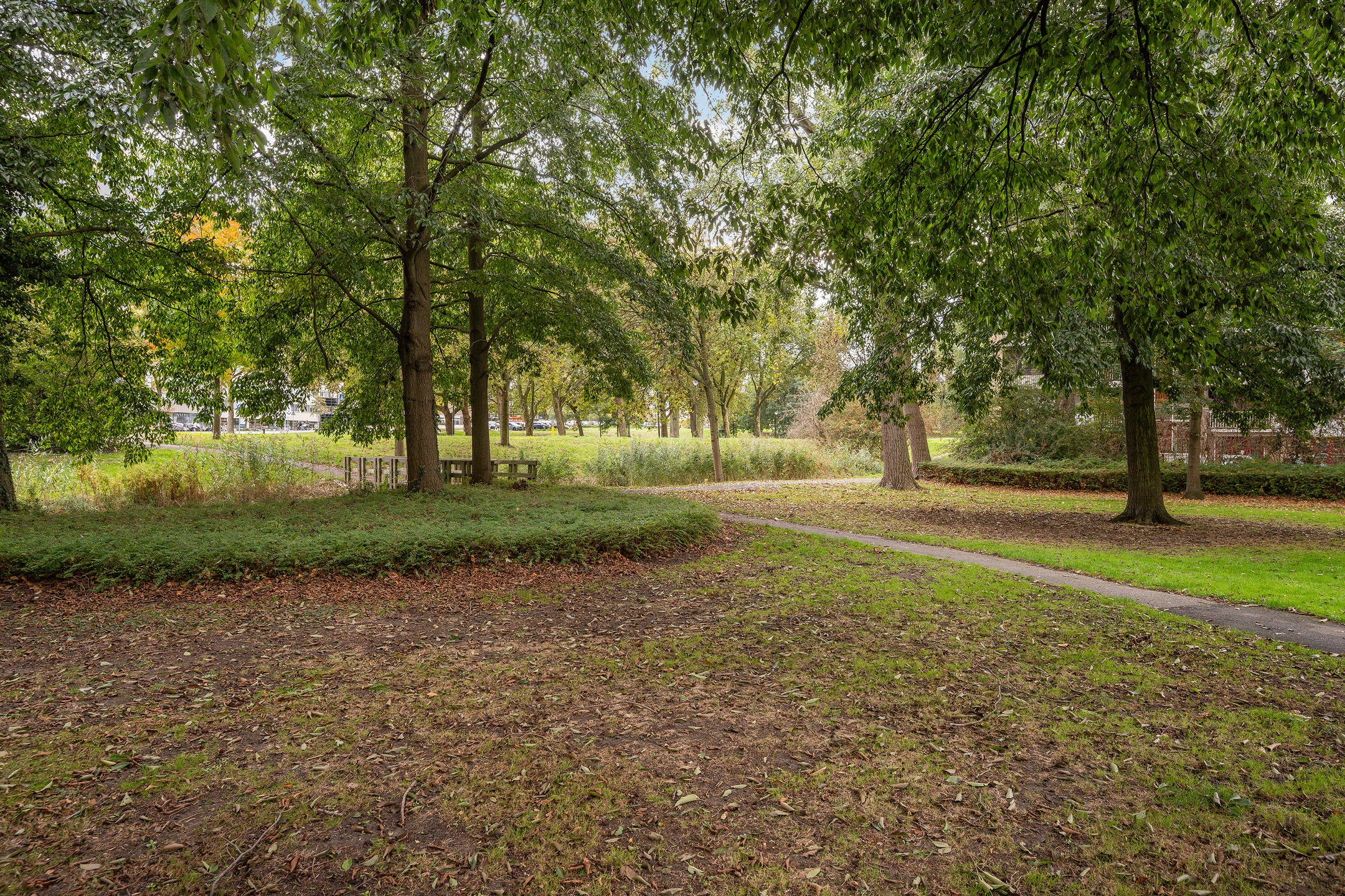 Foto 6 van van Hogendorplaan 198