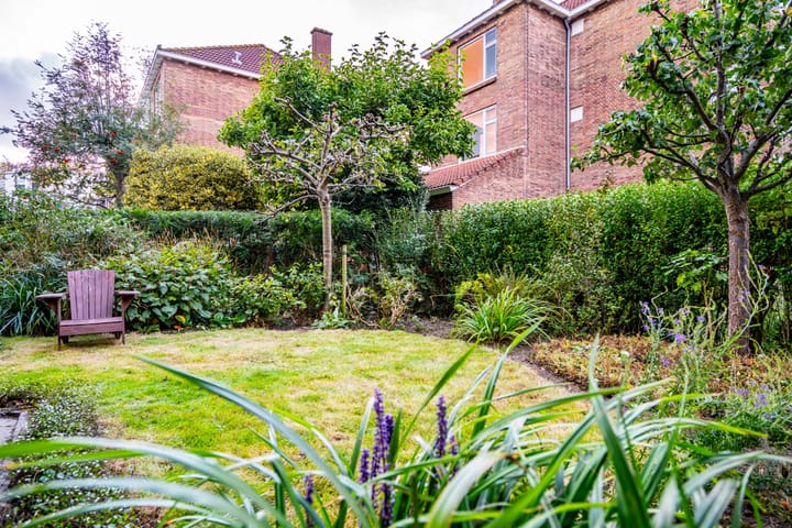 Foto 7 van Laan van Nieuw Oosteinde 316