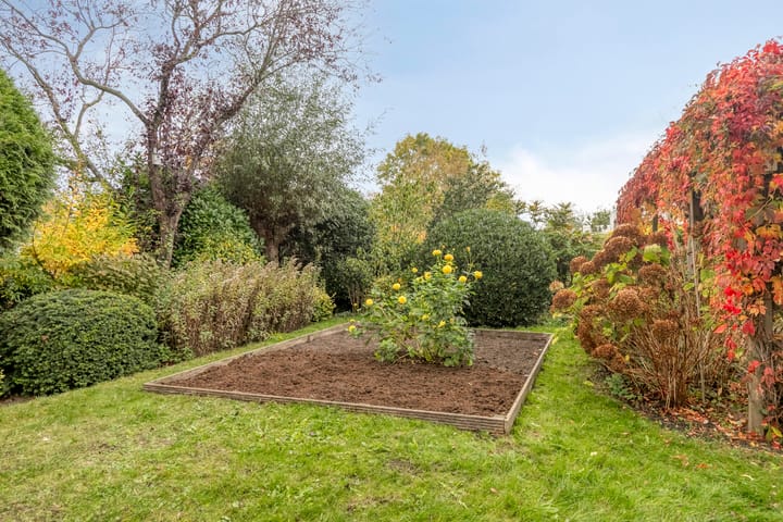 Foto 32 van Rosa Spierstraat 4