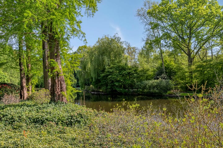 Photo 41 of Amsterdamseweg 320