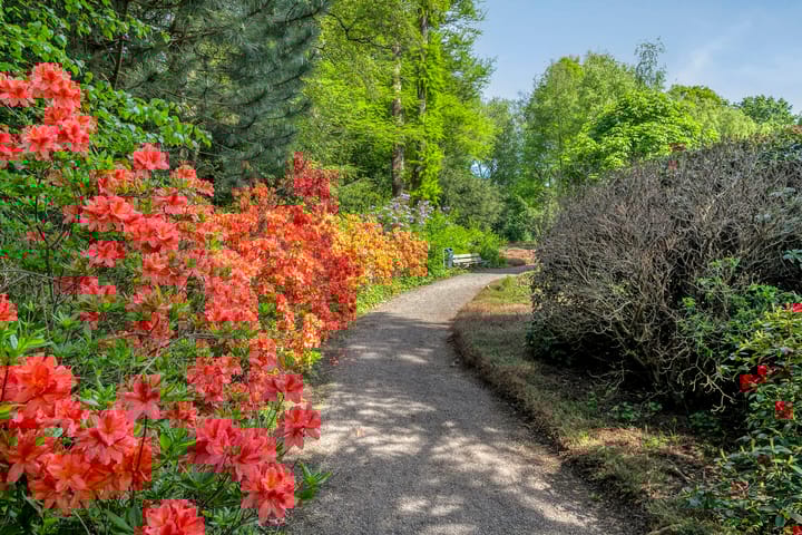 Photo 42 of Amsterdamseweg 320