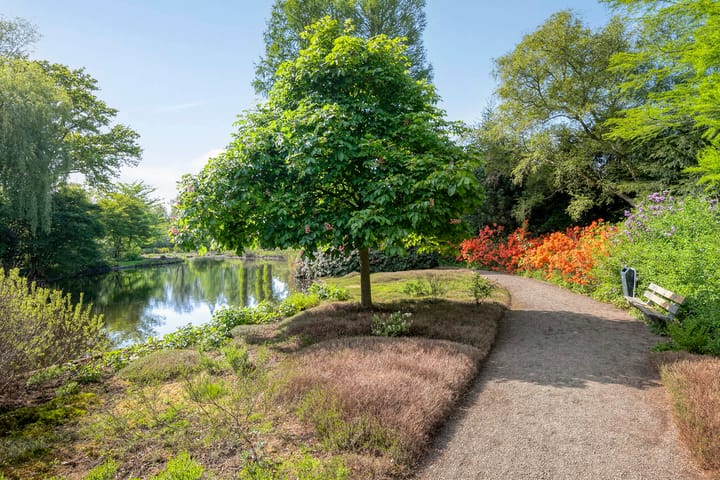 Photo 43 of Amsterdamseweg 320