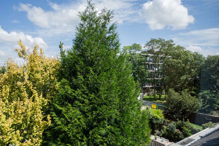 Foto 46 van Bertha von Suttnerstraat 9