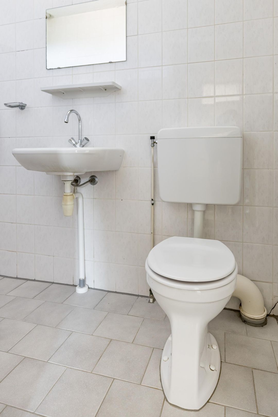 Photo 16 of Venus 69